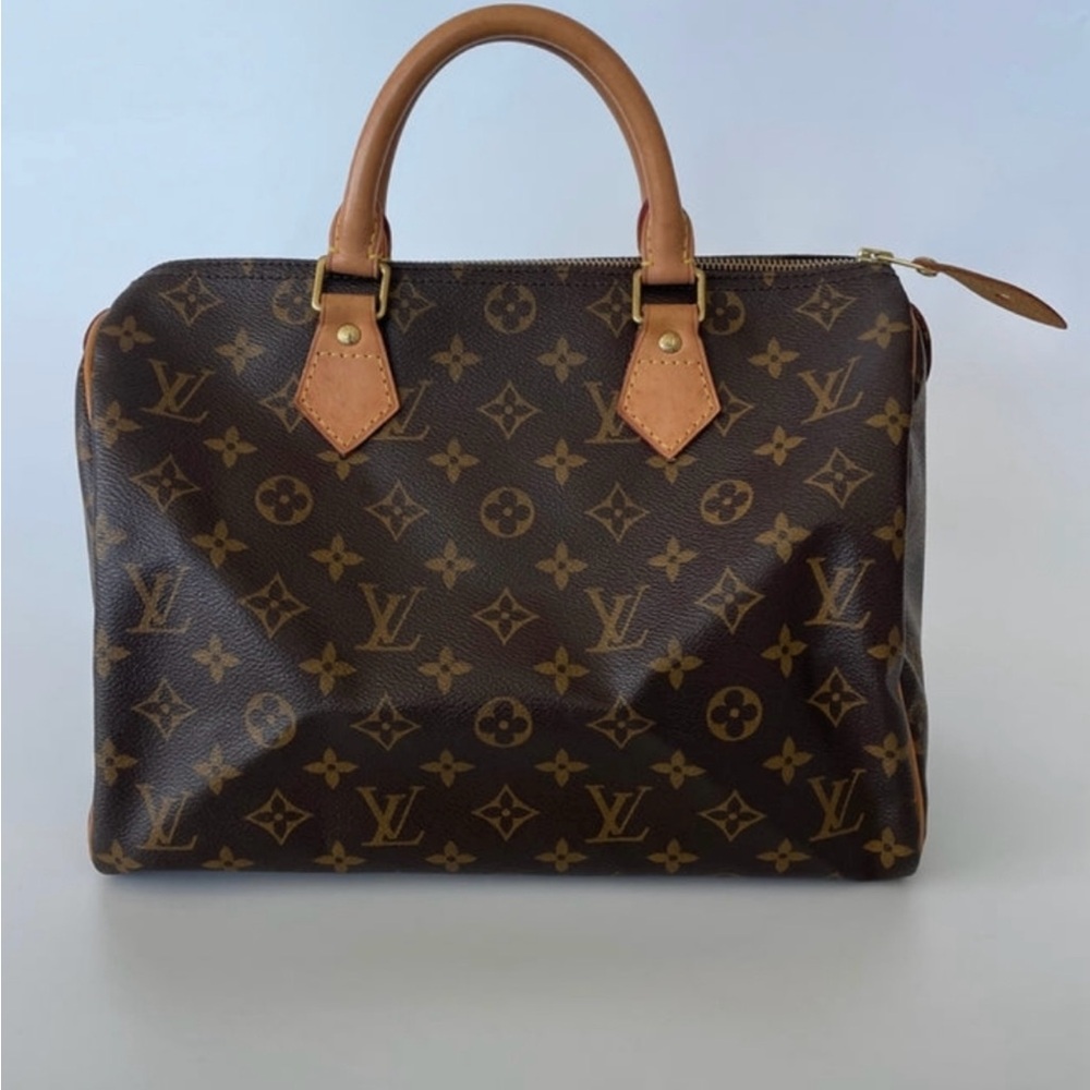 Louis Vuitton Brown and Tan Monogram Bag